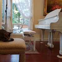 SarahSilviaStudioSquareW